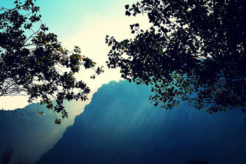 Misty July - image gratuit #288755